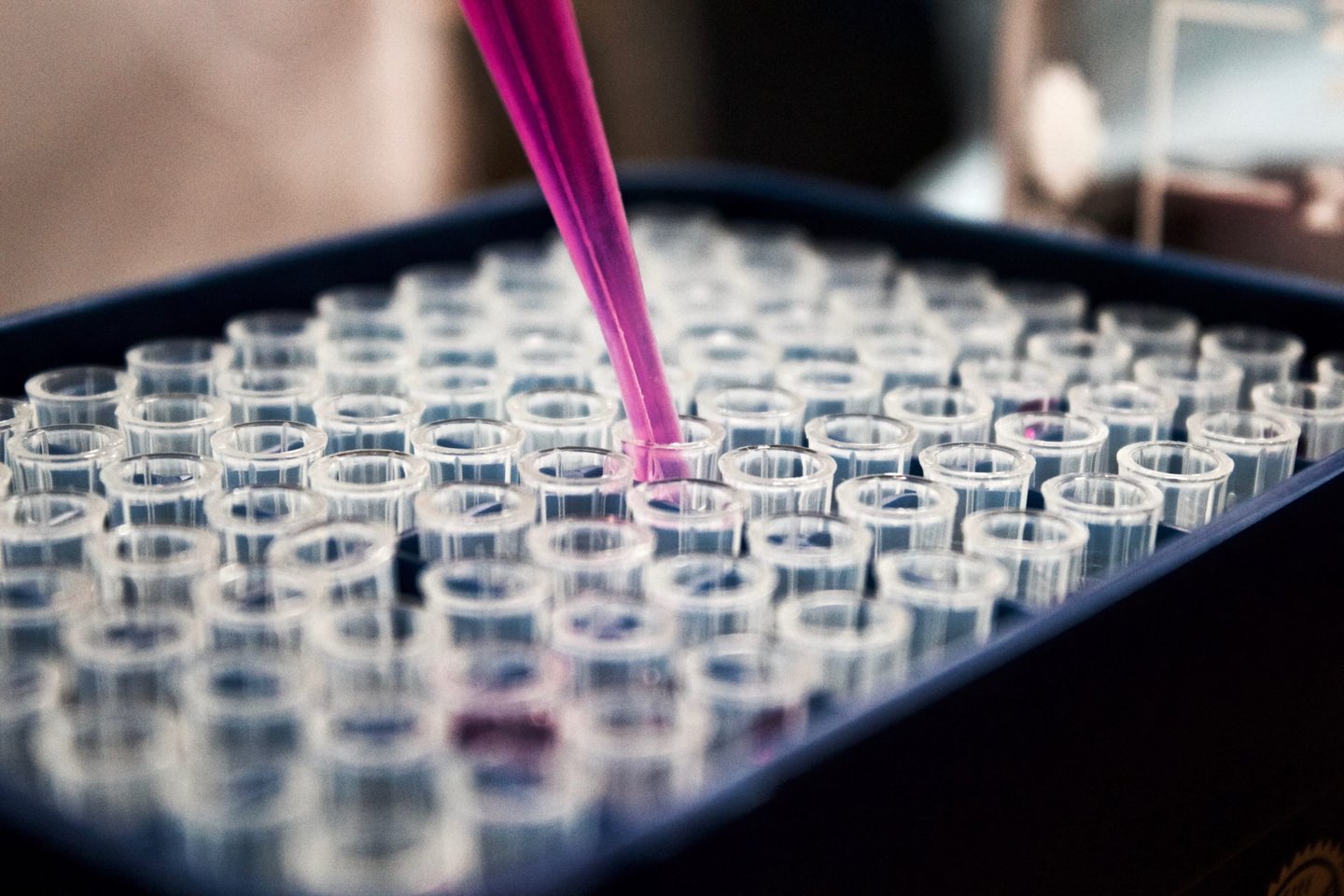 A tray of glass test tubes with clear or pink fluid. A pink pipette can be seen in a test tube in the centre of the tray. The background is out of focus.